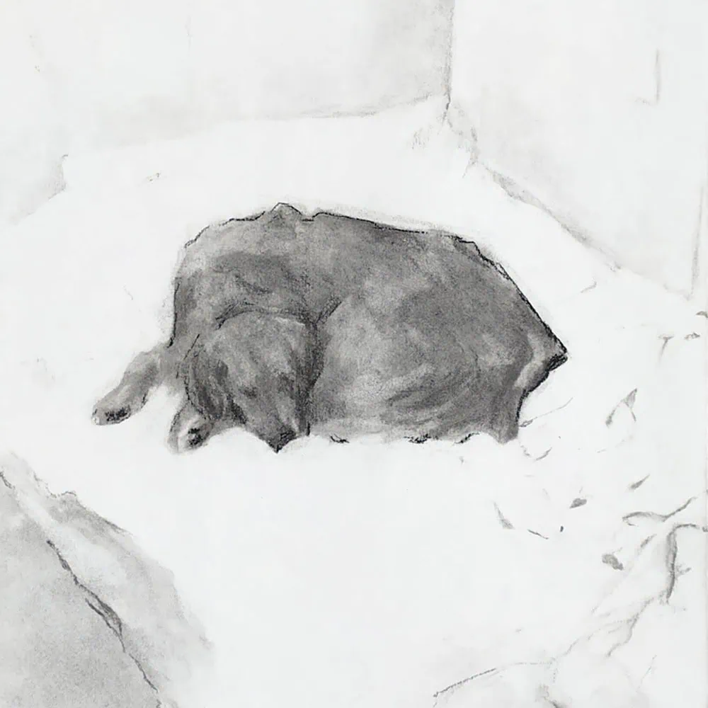 Gigi-on-Bed