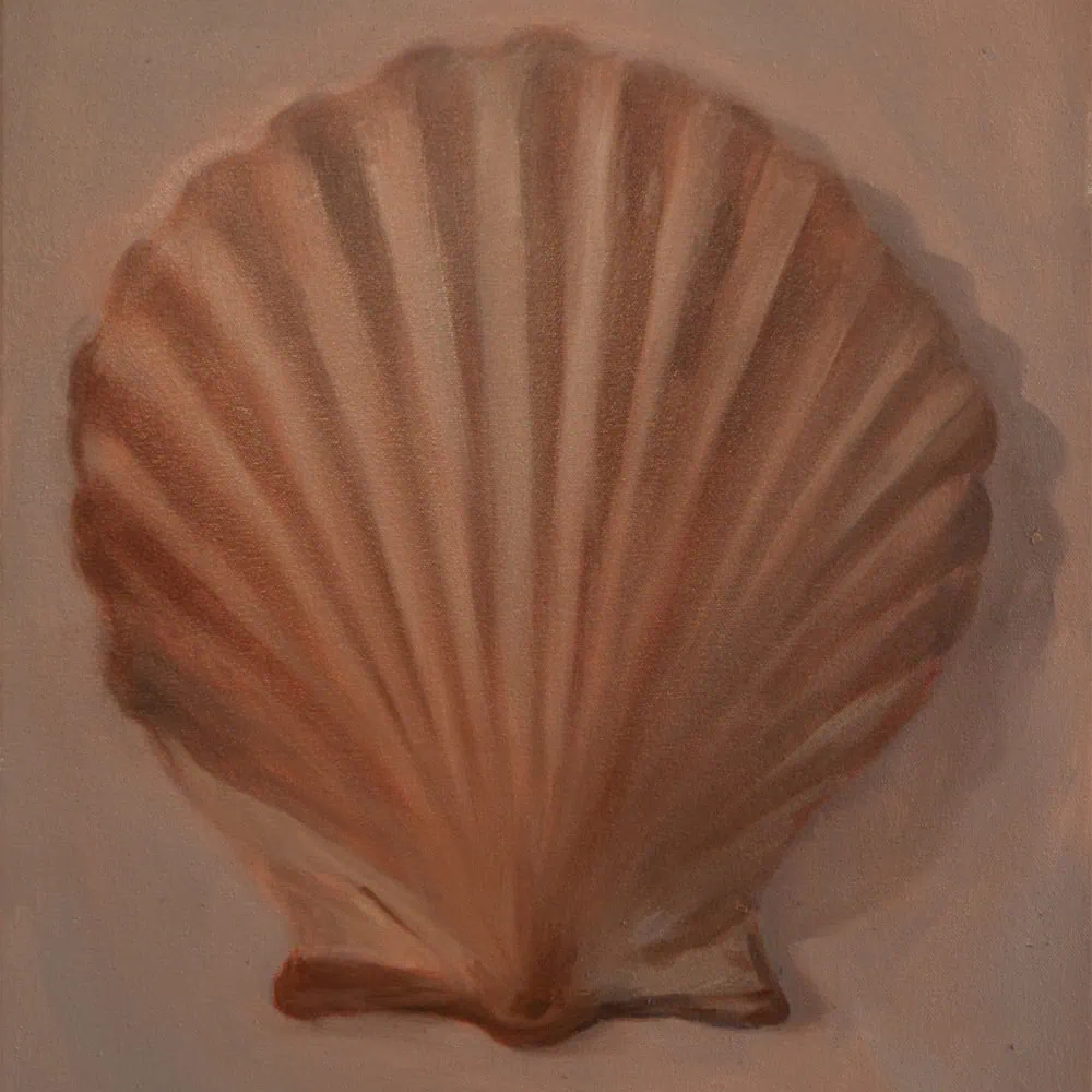 Shell